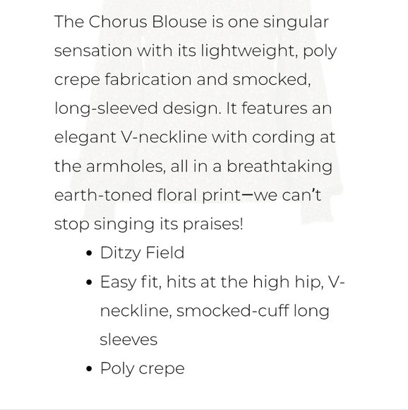 CAbi Chorus Blouse - Size Large - Picture 5 of 5